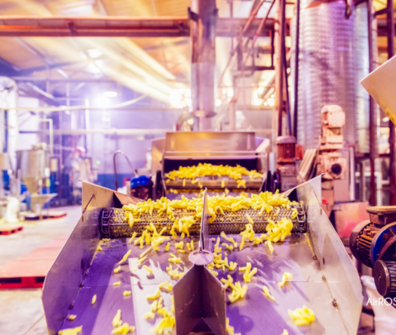 Air Purifiers for Food Processing Facilities