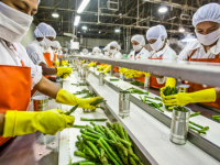 Food Processing Units