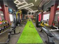 Gyms & Wellness Studios