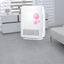 HEPA Air Purifiers 